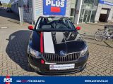Skoda Fabia bei Reisemobile.expert - Abbildung (12 / 15)