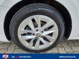 Skoda Octavia bei Reisemobile.expert - Abbildung (12 / 15)