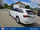 Skoda Octavia bei Reisemobile.expert - Abbildung (4 / 15)