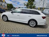 Skoda Octavia bei Reisemobile.expert - Abbildung (3 / 15)