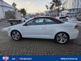 VW Eos bei Reisemobile.expert - Abbildung (3 / 15) VW Eos bei Reisemobile.expert - Abbildung (3 / 15)