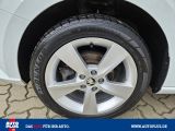 Skoda Fabia bei Reisemobile.expert - Abbildung (13 / 15)