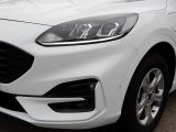 Ford Kuga bei Reisemobile.expert - Abbildung (2 / 15)