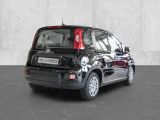 Fiat Panda bei Reisemobile.expert - Abbildung (2 / 9)