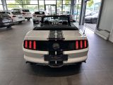 Ford Mustang bei Reisemobile.expert - Abbildung (12 / 15) Ford Mustang bei Reisemobile.expert - Abbildung (12 / 15)