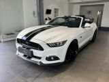 Ford Mustang bei Reisemobile.expert - Abbildung (8 / 15) Ford Mustang bei Reisemobile.expert - Abbildung (8 / 15)