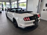 Ford Mustang bei Reisemobile.expert - Abbildung (11 / 15) Ford Mustang bei Reisemobile.expert - Abbildung (11 / 15)