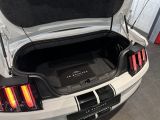 Ford Mustang bei Reisemobile.expert - Abbildung (13 / 15)