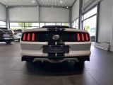 Ford Mustang bei Reisemobile.expert - Abbildung (14 / 15)