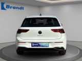 VW Golf VIII bei Reisemobile.expert - Abbildung (5 / 15)