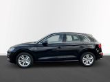 Audi Q5 bei Reisemobile.expert - Abbildung (2 / 15)