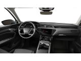 Audi Q8 bei Reisemobile.expert - Abbildung (8 / 10)