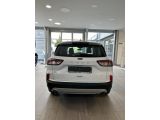 Ford Kuga bei Reisemobile.expert - Abbildung (3 / 11)