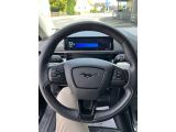 Ford Mustang Mach-E bei Reisemobile.expert - Abbildung (9 / 15)