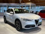 Alfa Romeo Stelvio bei Reisemobile.expert - Abbildung (2 / 15)