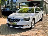 Skoda Superb bei Reisemobile.expert - Abbildung (4 / 15)