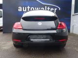 VW Beetle bei Reisemobile.expert - Abbildung (4 / 12)