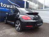 VW Beetle bei Reisemobile.expert - Abbildung (3 / 12)