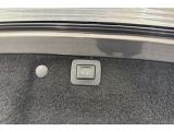 Opel Insignia bei Reisemobile.expert - Abbildung (6 / 14)