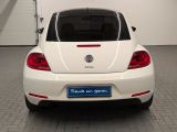 VW Beetle bei Reisemobile.expert - Abbildung (4 / 15)