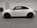 VW Beetle bei Reisemobile.expert - Abbildung (2 / 15)