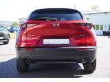 Mazda CX-30 bei Reisemobile.expert - Abbildung (4 / 15)
