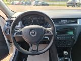 Skoda Rapid bei Reisemobile.expert - Abbildung (14 / 15)
