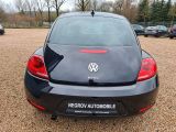 VW Beetle bei Reisemobile.expert - Abbildung (7 / 15)