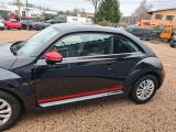 VW Beetle bei Reisemobile.expert - Abbildung (9 / 15)