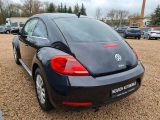 VW Beetle bei Reisemobile.expert - Abbildung (8 / 15)