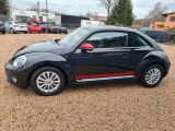 VW Beetle bei Reisemobile.expert - Abbildung (10 / 15)