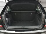 Skoda Kamiq bei Reisemobile.expert - Abbildung (8 / 11)