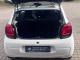 Citroen C1 bei Reisemobile.expert - Abbildung (6 / 15)