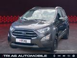 Ford EcoSport bei Reisemobile.expert - Abbildung (4 / 15)