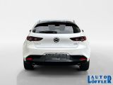 Mazda 3 bei Reisemobile.expert - Abbildung (4 / 15)