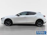 Mazda 3 bei Reisemobile.expert - Abbildung (2 / 15)