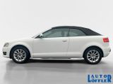 Audi A3 bei Reisemobile.expert - Abbildung (2 / 12)