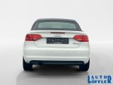 Audi A3 bei Reisemobile.expert - Abbildung (4 / 12)