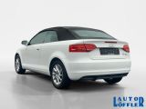 Audi A3 bei Reisemobile.expert - Abbildung (3 / 12)