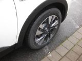 Opel Grandland X bei Reisemobile.expert - Abbildung (6 / 15)