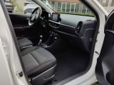 Kia Picanto bei Reisemobile.expert - Abbildung (15 / 15)
