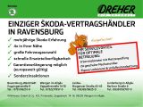 Skoda Octavia bei Reisemobile.expert - Abbildung (3 / 15)