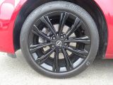 Opel Insignia bei Reisemobile.expert - Abbildung (5 / 15)