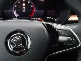 Skoda Fabia bei Reisemobile.expert - Abbildung (14 / 15)