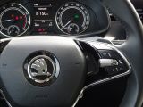 Skoda Kamiq bei Reisemobile.expert - Abbildung (14 / 15)