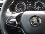 Skoda Kamiq bei Reisemobile.expert - Abbildung (13 / 15)