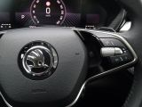 Skoda Fabia bei Reisemobile.expert - Abbildung (14 / 15)