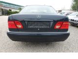 Mercedes-Benz E 230E -Klasse bei Reisemobile.expert - Abbildung (5 / 15)