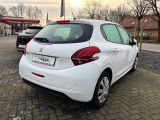Peugeot 208 bei Reisemobile.expert - Abbildung (5 / 15)