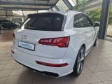 Audi SQ5 bei Reisemobile.expert - Abbildung (5 / 15)